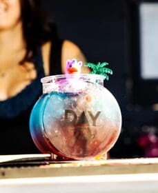 Production Photo for Day Trip at Vinyl in Denver