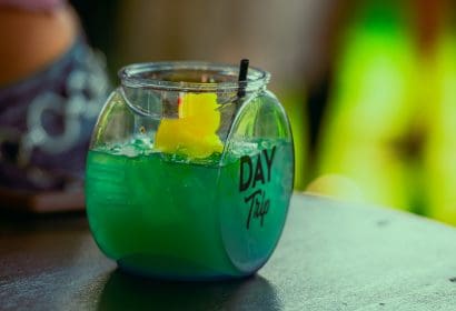 090625_daytrip_vinylroof_ColinLloyd_photos-22