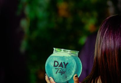 090625_daytrip_vinylroof_ColinLloyd_photos-6